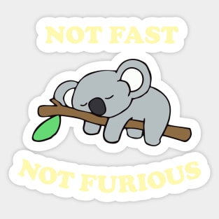 Lazy Koala Not Fast Not Furious Sticker